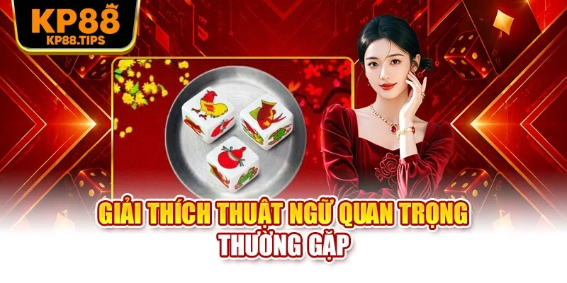Giải thích thuật ngữ quan trọng thường gặp