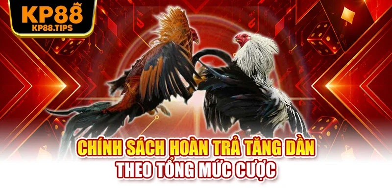 Chính sách hoàn trả tăng dần theo tổng mức cược