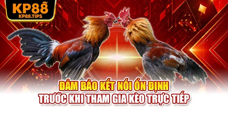 Đảm bảo kết nối ổn định trước khi tham gia kèo trực tiếp