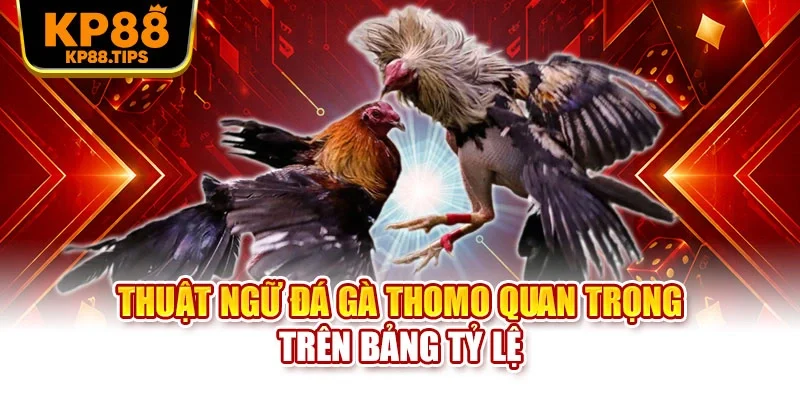 Thuật ngữ đá gà Thomo quan trọng trên bảng tỷ lệ