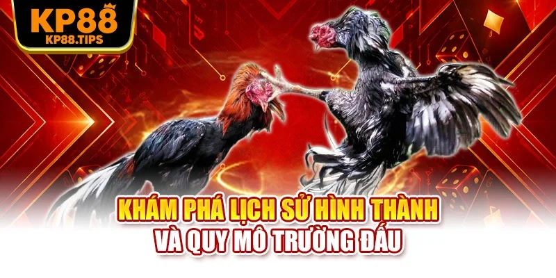 Khám phá lịch sử hình thành và quy mô trường đấu