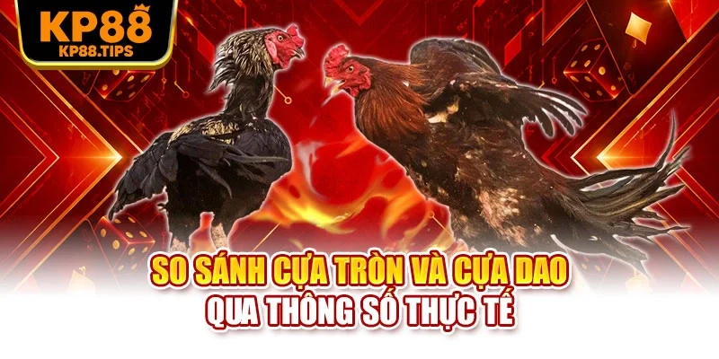 So sánh cựa tròn và cựa dao qua thông số thực tế