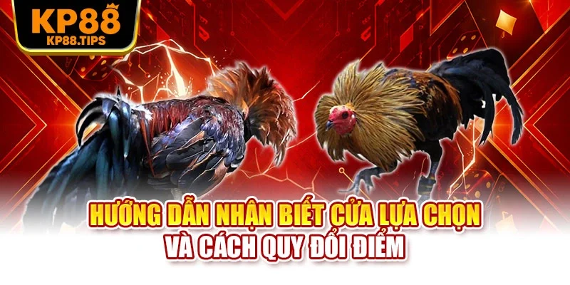 Hướng dẫn nhận biết cửa lựa chọn và cách quy đổi điểm